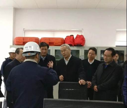 浙江省丽水市市长吴晓东前往浙江佰利乐能源开发有限公司调查调研