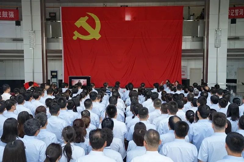 “党旗红·佰利乐强”佰利乐党建“123456”模式荣获全市组织工作鼎新创新优良成就奖