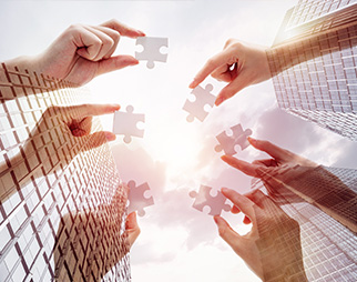 佰利乐(中国区)有限公司官网